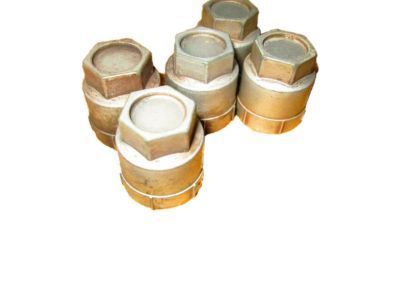 Chevy 12337914 CAP, NUT (SILVER METAL)