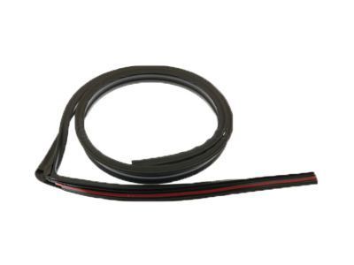 Chevy Silverado 2500 HD Classic Weather Strip - 21993936
