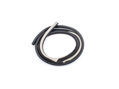 Pontiac Weather Strip - 96467379