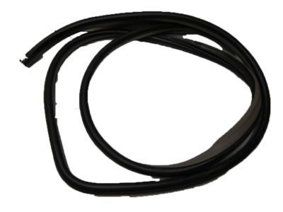 Pontiac Weather Strip - 96467379