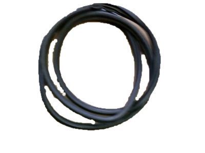 Chevy Impala Weather Strip - 10272731