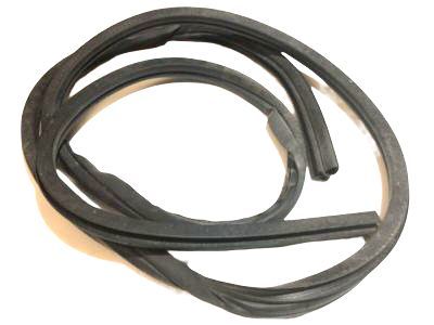 Chevy Impala Weather Strip - 10272731
