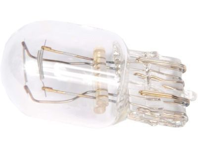 Chevy 13591403 Exterior Bulbs