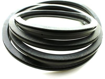 Chevy C2500 Door Seal - 15758703