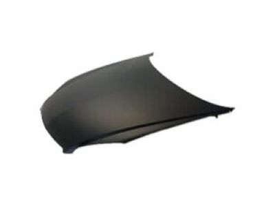 Chevy Hood - 19120222