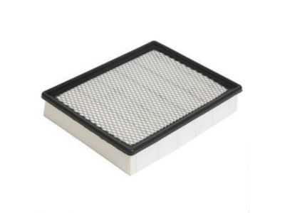 Cadillac Air Filter - 10342024