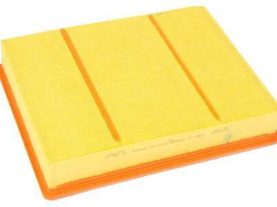 Cadillac Escalade Air Filter - 23349854