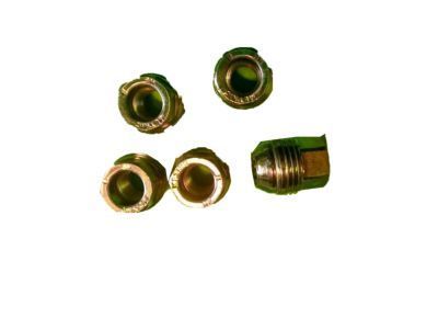 GMC Lug Nuts - 10091792