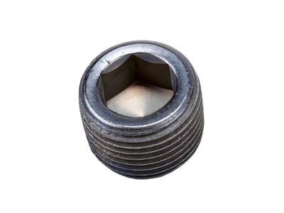 GM 19258728 Plug, Transmission Case 19258728 GM Plug, Transmission Case Product Photo 1 of 1