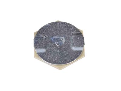GM 22917905 Plug, Rear Quarter Outer 22917905 GM Plug, Rear Quarter Outer Product Photo 1 of 2