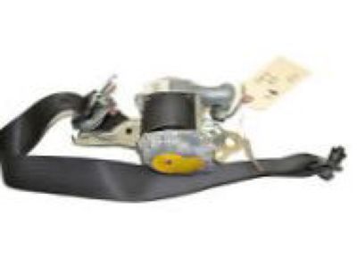 GMC Sierra 1500 Seat Belt - 19256126