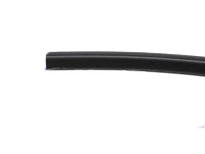 Chevy Malibu Door Seal - 25911905