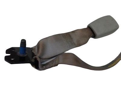 Chevy Equinox Seat Belt - 89022937