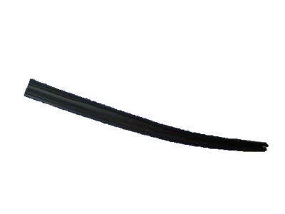 Buick Rainier Weather Strip - 25775560