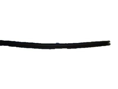 Buick Rainier Weather Strip - 25775560