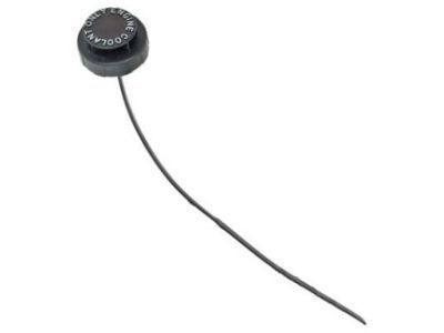 Chevy 10188034 Reservoir Cap