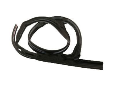 Chevy Silverado 2500 HD Classic Weather Strip - 21993937