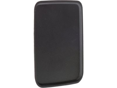Chevy 22876379 Seat Back Assembly Insert