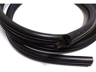 Pontiac Weather Strip - 10449198