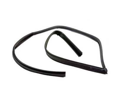 Pontiac Weather Strip - 88974657