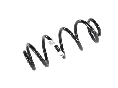 GM 42806189 Spring, Rear Spring 42806189 GM Spring, Rear Spring Product Photo 1 of 2