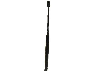 25794897 GM Lift Cylinder, Passenger Side Product Photo 2 of 2