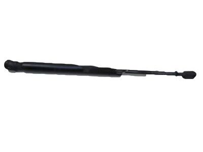GM 25794897 Lift Cylinder, Passenger Side 25794897 GM Lift Cylinder, Passenger Side Product Photo 1 of 2