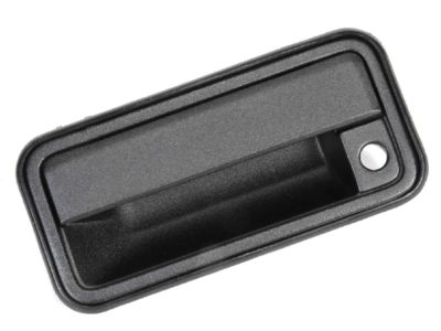 Chevy K3500 Exterior Door Handle - 15742229