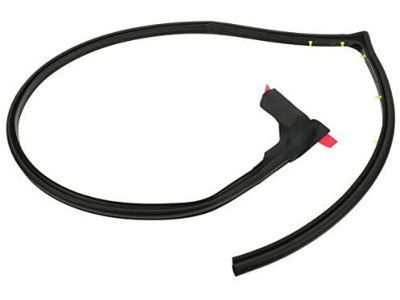 GMC Door Seal - 15821952