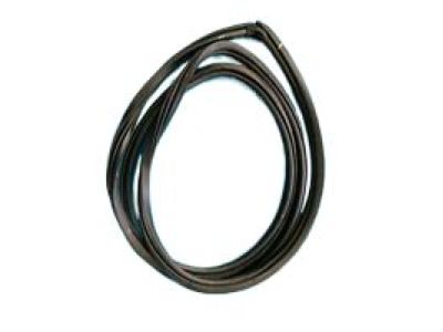 GM 23473813 Side Seal, Passenger Side 23473813 GM Side Seal, Passenger Side Product Photo 1 of 1