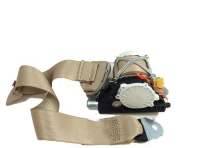 GMC Sierra 1500 Seat Belt - 19260208