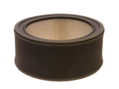 GM 25043585 Element, Air Cleaner Intake 25043585 GM Element, Air Cleaner Intake Product Photo 1 of 1