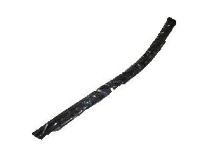 Chevy Silverado 1500 LD Weather Strip - 23412415