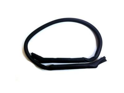 Chevy 10329158 Weatherstrip