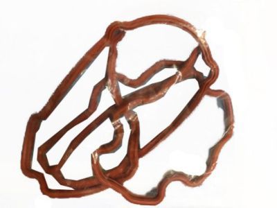 Pontiac Valve Cover Gasket - 12591203