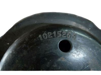 Buick Commercial Chassis Water Pump Pulley - 10215266