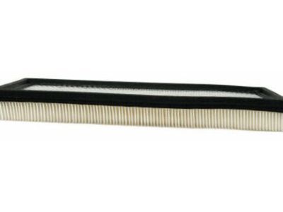 GMC Air Filter - 25042562