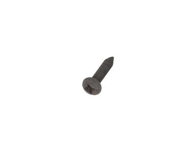 GM 12386413 Bolt, Door Inside Assist Handle, Passenger Side 12386413 GM Bolt, Door Inside Assist Handle, Passenger Side Product Photo 1 of 1