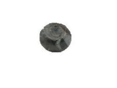 20626295 GM Hinge Nut Product Photo 2 of 2