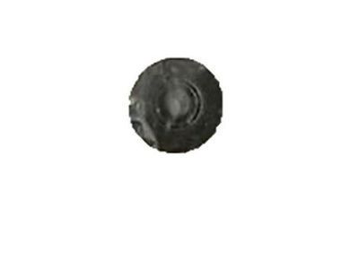 20626295 GM Hinge Nut Product Photo 1 of 2