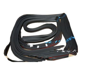 GMC Door Seal - 20789463