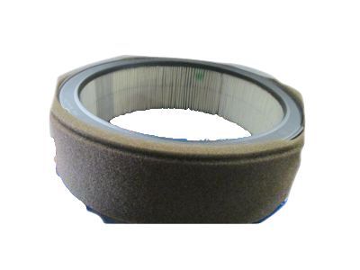 Chevy P20 Air Filter - 8996118