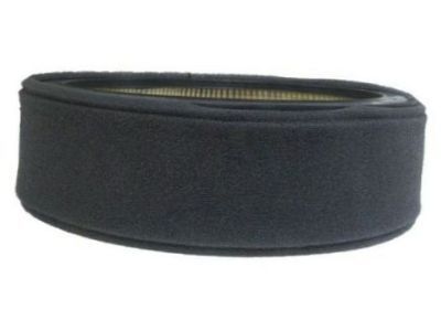 Chevy P20 Air Filter - 8996118