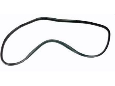 Cadillac CTS Door Seal - 88952175