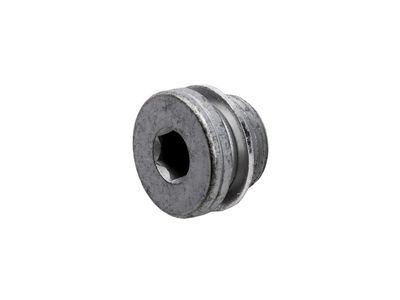 GM 55566097 Plug, Transfer Case 55566097 GM Plug, Transfer Case Product Photo 1 of 1
