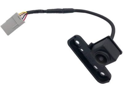 Cadillac 23402538 Camera