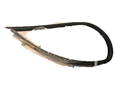 Pontiac Weather Strip - 20847948