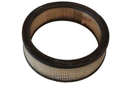 Pontiac Air Filter - 25040881