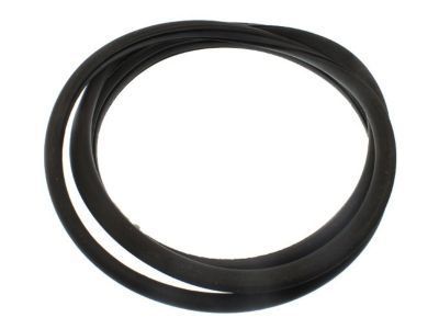 GMC Envoy XUV Weather Strip - 25917746