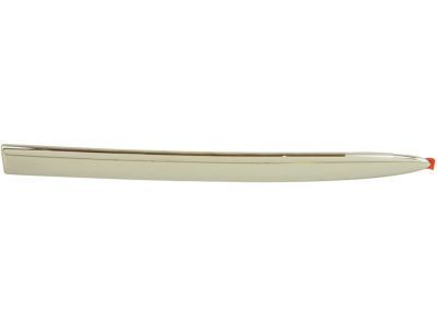GMC Sierra 3500 Door Moldings - 15085467